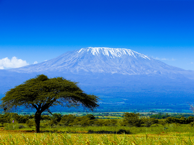 Mount Kilimanjaro ascent for charity, by AGS Movers Southern Africa’s Chairman