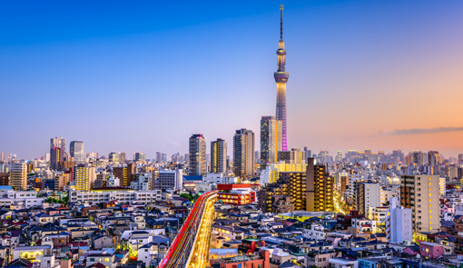 Fun Fact: Tokyo, the world’s largest city