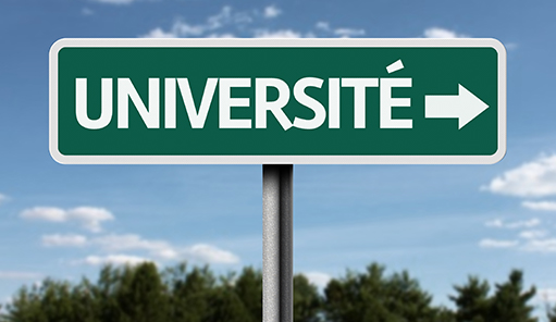 International universities in France: Tips for expats